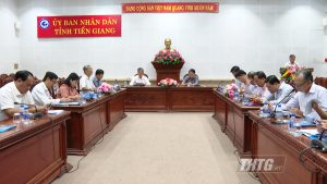 Tiền Giang bỏ phiếu thống nhất đề nghị Trung ương công nhận huyện Tân Phước đạt chuẩn nông thôn mới
