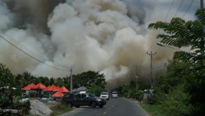 Cháy lớn tại Vườn Quốc gia Tràm Chim (Đồng Tháp)