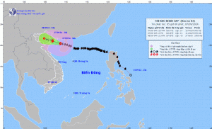 Bão số 3 giật cấp 17, cách Quảng Ninh-Hải Phòng 190 km