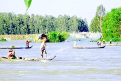 Đồng bằng sông Cửu Long: Chủ động ứng phó triều cường, lũ đầu nguồn