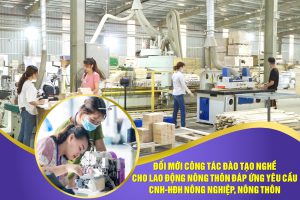 Đổi mới công tác đào tạo nghề cho lao động nông thôn đáp ứng yêu cầu công nghiệp hóa, hiện đại hóa