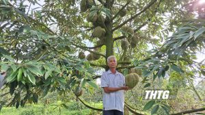 Nông dân thị xã Cai Lậy: Nhiều cách làm hay trong thực hiện chuyên đề thi đua “Nông dân sản xuất, kinh doanh giỏi”